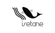 Логотип для консалтинговой компании «Isetane». http://isetane.ru/