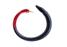 Разработка креативного коллажа для оформления рекламных плакатов в торговом центре