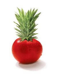 Разработка креативного коллажа для оформления рекламных плакатов в торговом центре