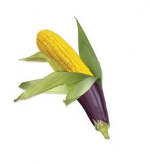 Разработка креативного коллажа для оформления рекламных плакатов в торговом центре